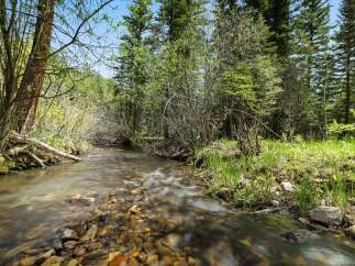 Discover the tranquility of this stunning property, featuring a serene stream winding through lush greenery.