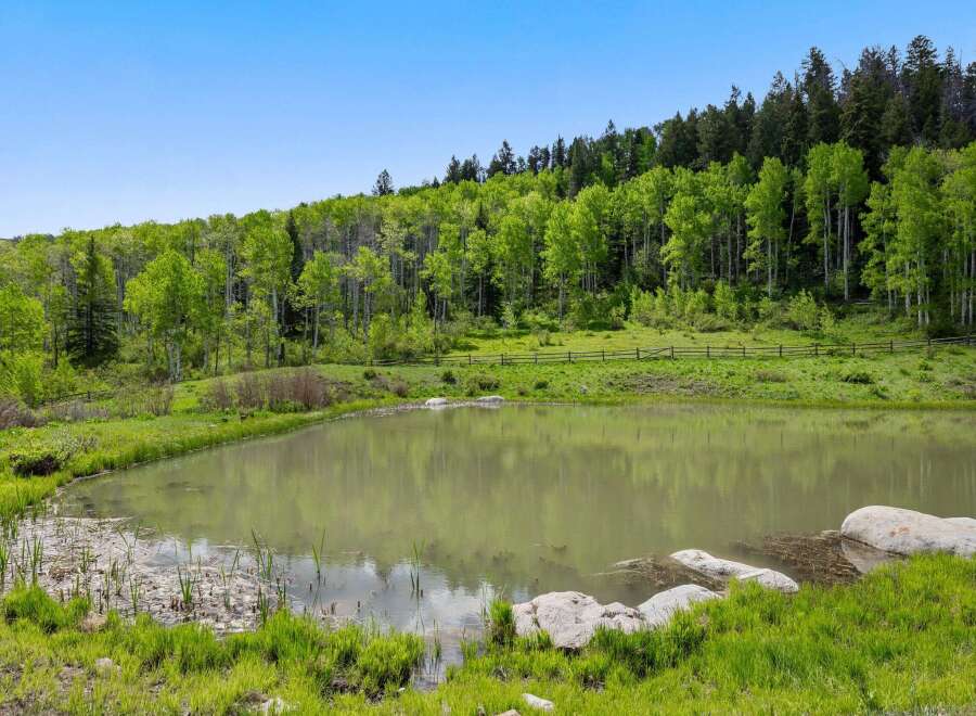 Discover the tranquility of this stunning property, featuring a serene pond reflecting the lush greenery.