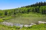 Discover the tranquility of this stunning property, featuring a serene pond reflecting the lush greenery.