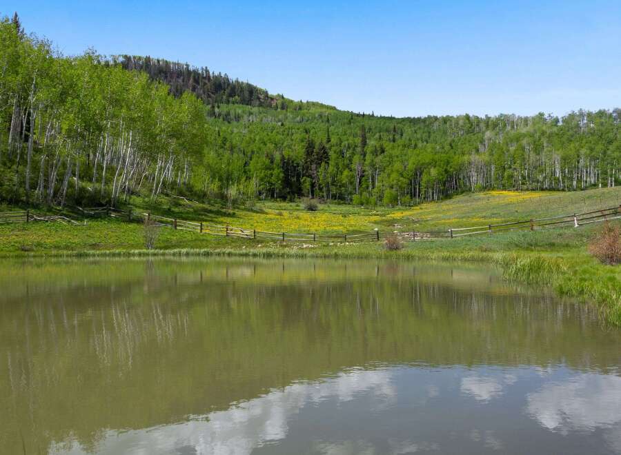 Discover serene living with this picturesque property featuring a tranquil pond reflecting the surrounding lush greenery and aspen trees.