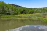 Discover serene living with this picturesque property featuring a tranquil pond reflecting the surrounding lush greenery and aspen trees.