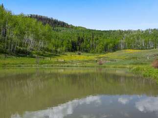Discover serene living with this picturesque property featuring a tranquil pond reflecting the surrounding lush greenery and aspen trees.