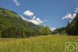 Discover your dream home nestled in the heart of nature! This stunning property boasts breathtaking mountain views and a serene, expansive meadow.