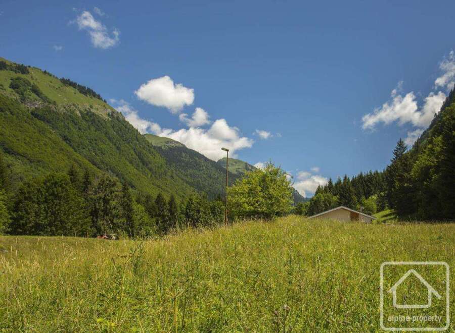 Discover your dream home nestled in the heart of nature! This stunning property boasts breathtaking mountain views and a serene, expansive meadow.