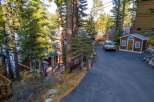 Nestled amidst towering trees, this charming property offers a serene escape.