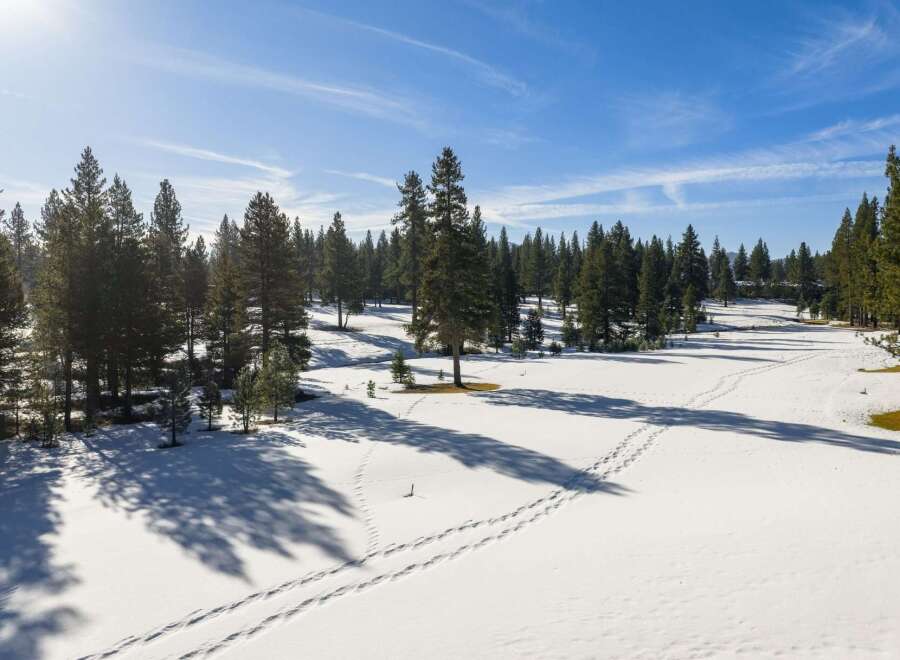 Discover the serene beauty of this stunning property, nestled amidst a picturesque winter landscape.