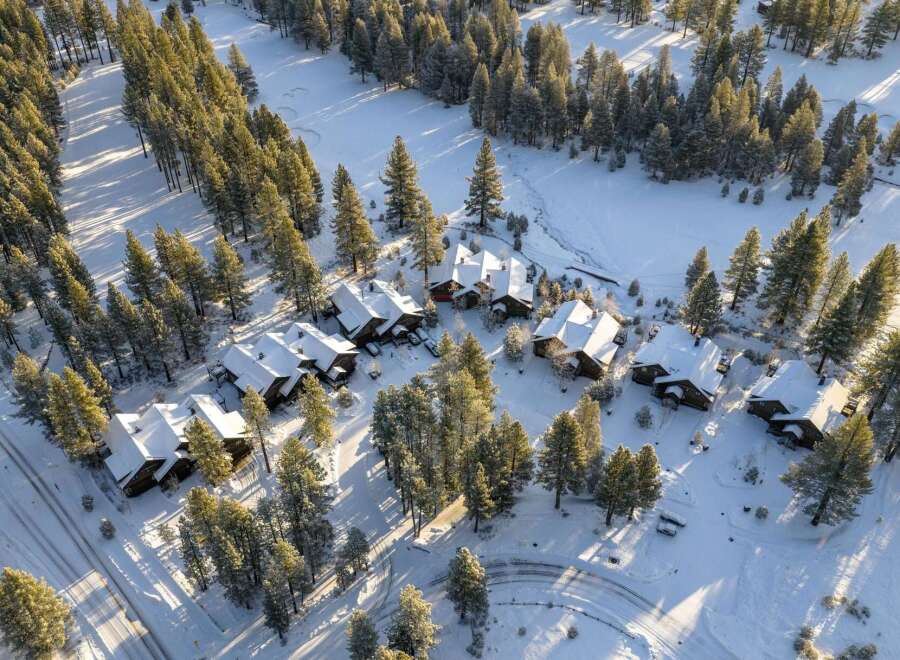 Discover a stunning winter retreat nestled amidst snow-covered trees.