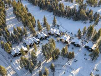Discover a stunning winter retreat nestled amidst snow-covered trees.