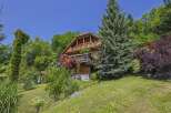 Nestled amidst lush greenery, this charming wooden house offers a serene escape.