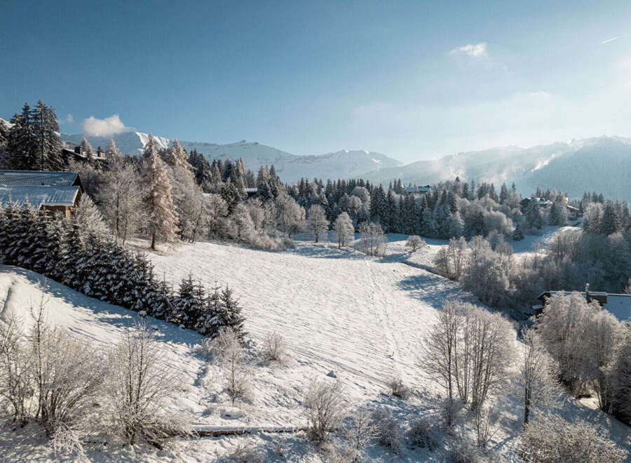 Nestled in a serene winter wonderland, this property offers breathtaking views of snow-covered landscapes and majestic mountains.