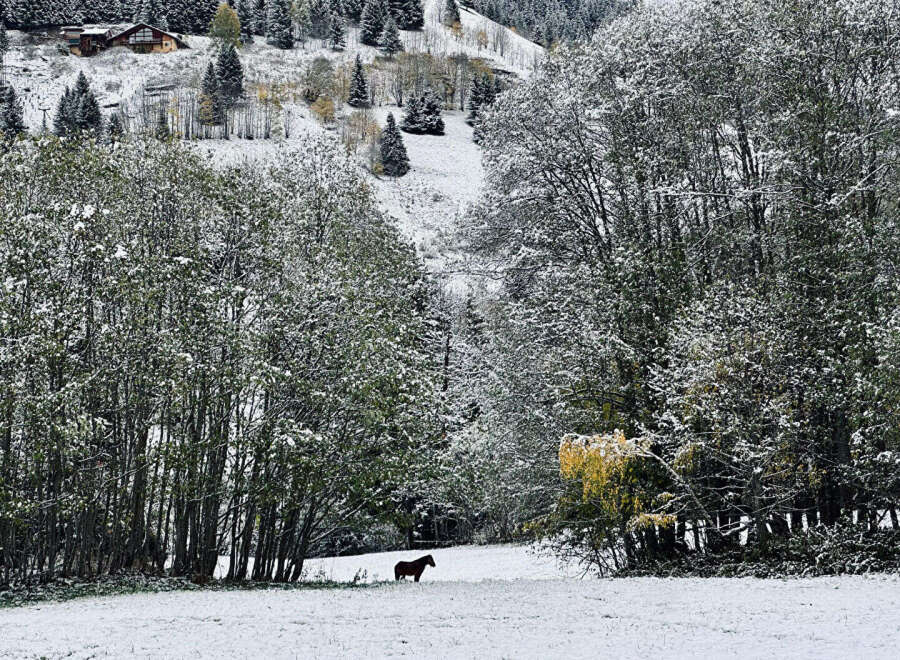 Nestled amidst a serene winter landscape, this property offers a unique blend of natural beauty and tranquility.