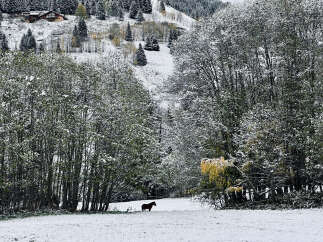 Nestled amidst a serene winter landscape, this property offers a unique blend of natural beauty and tranquility.