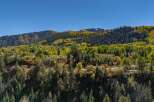 Discover the beauty of mountain living with this stunning property nestled amidst a vibrant forest.