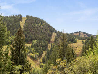 Nestled amidst the breathtaking beauty of nature, this property offers an unparalleled escape.