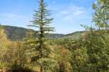 Enjoy breathtaking mountain views from this stunning property.