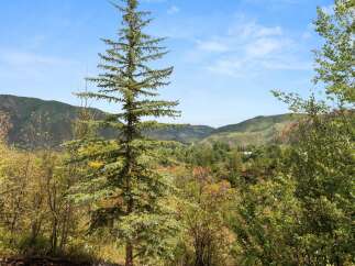 Enjoy breathtaking mountain views from this stunning property.