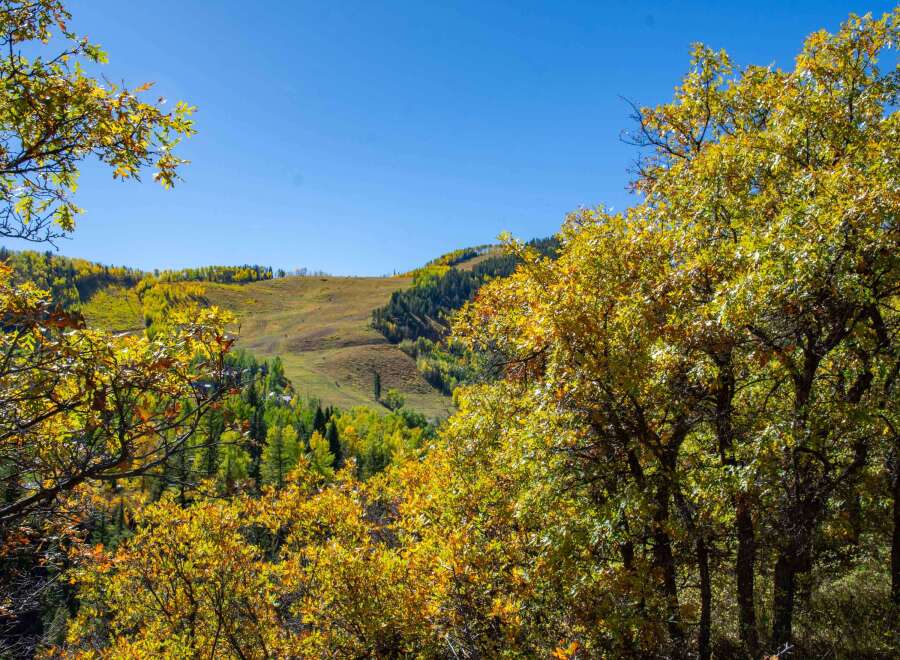 Discover the beauty of mountain living with this stunning property.