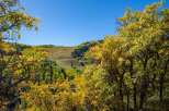 Discover the beauty of mountain living with this stunning property.