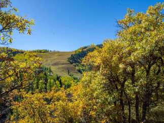 Discover the beauty of mountain living with this stunning property.