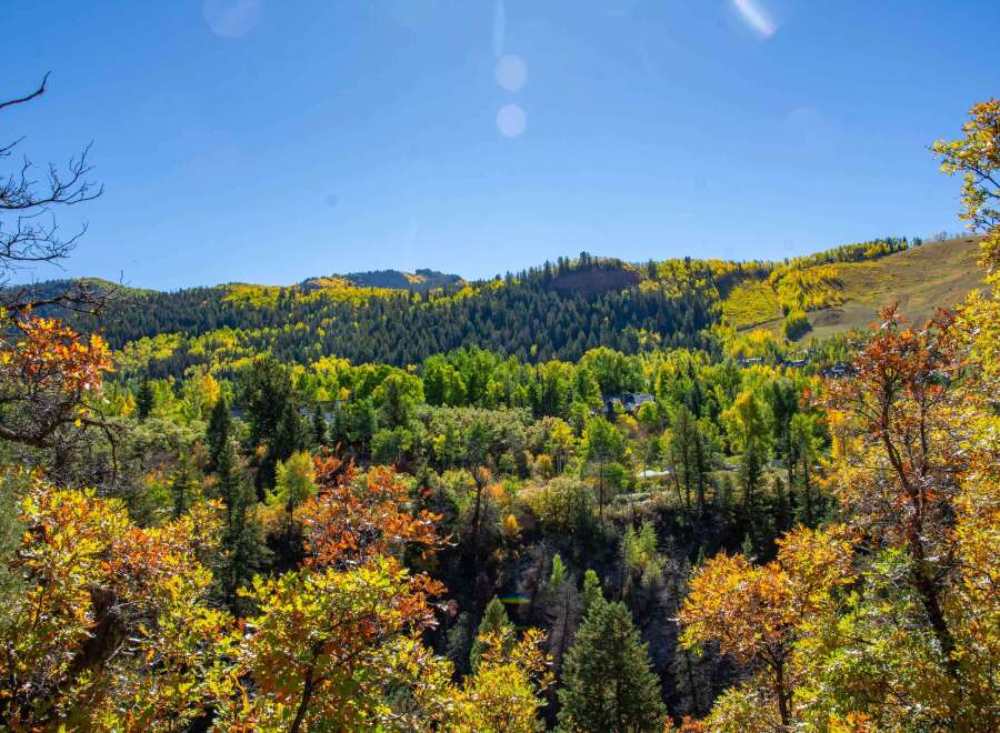 Nestled amidst a vibrant tapestry of autumn hues, this property offers breathtaking views of a lush mountain landscape.
