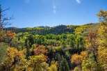 Nestled amidst a vibrant tapestry of autumn hues, this property offers breathtaking views of a lush mountain landscape.
