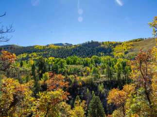 Nestled amidst a vibrant tapestry of autumn hues, this property offers breathtaking views of a lush mountain landscape.