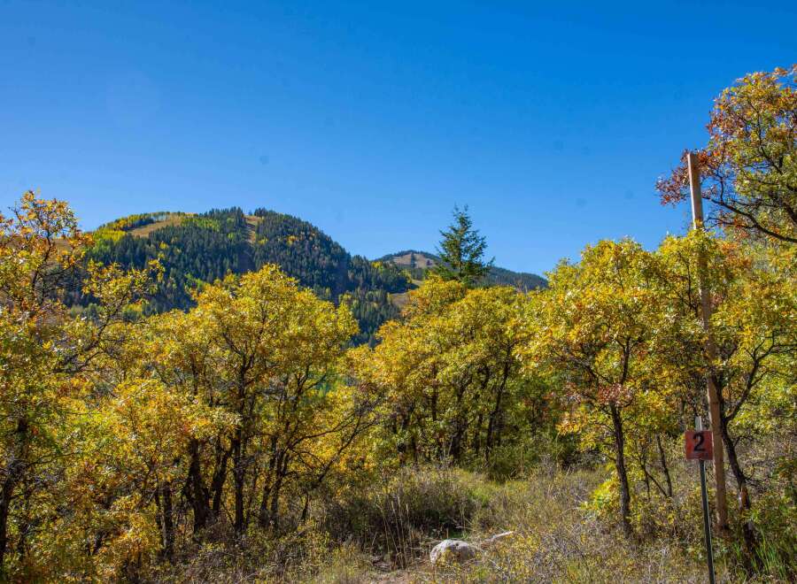 Discover the beauty of nature with this stunning property.