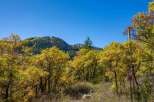 Discover the beauty of nature with this stunning property.
