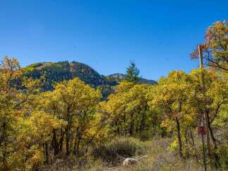 Discover the beauty of nature with this stunning property.