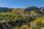 Discover the beauty of mountain living with this stunning property.