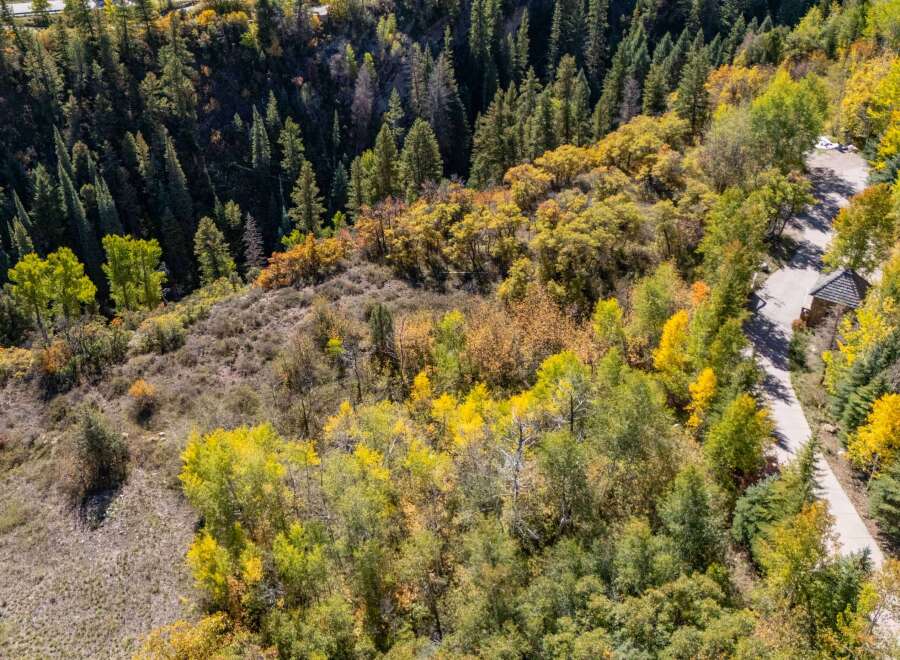 Discover the beauty of this stunning property nestled in a vibrant, tree-filled landscape.
