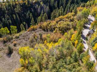 Discover the beauty of this stunning property nestled in a vibrant, tree-filled landscape.