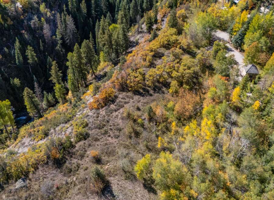 Discover the beauty of this stunning property nestled in a vibrant forest.
