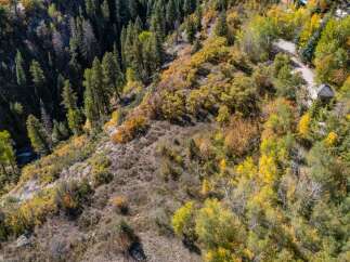 Discover the beauty of this stunning property nestled in a vibrant forest.