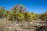Discover the beauty of nature with this stunning property.