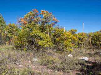 Discover the beauty of nature with this stunning property.