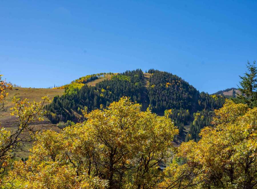 Nestled amidst the breathtaking beauty of nature, this property offers an unparalleled living experience.
