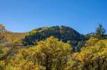 Nestled amidst the breathtaking beauty of nature, this property offers an unparalleled living experience.