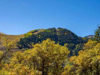 Nestled amidst the breathtaking beauty of nature, this property offers an unparalleled living experience.