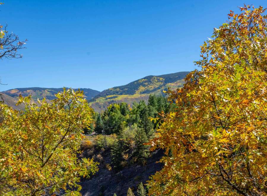 Experience the beauty of nature with this stunning property! This image showcases the vibrant colors of fall foliage, creating a picturesque setting.