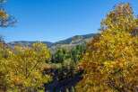 Experience the beauty of nature with this stunning property! This image showcases the vibrant colors of fall foliage, creating a picturesque setting.