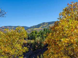 Experience the beauty of nature with this stunning property! This image showcases the vibrant colors of fall foliage, creating a picturesque setting.