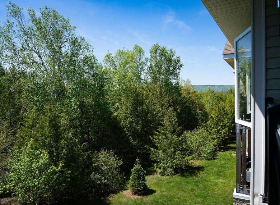 Enjoy breathtaking views of lush greenery and a vibrant blue sky from this stunning property.