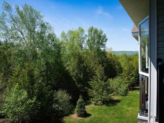 Enjoy breathtaking views of lush greenery and a vibrant blue sky from this stunning property.