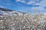 Discover a winter wonderland with this stunning property nestled in a picturesque snowy landscape.