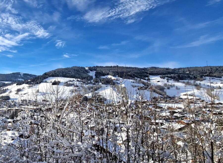 Discover the charm of this stunning property nestled in a picturesque winter wonderland.
