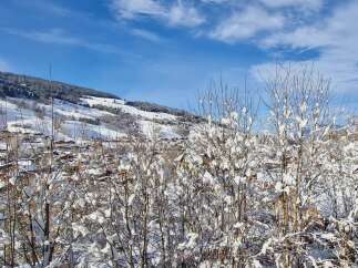 Discover a winter wonderland with this stunning property nestled in a picturesque snowy landscape.