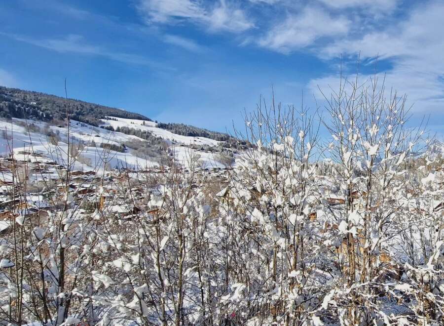 Discover a winter wonderland with this stunning property nestled in a picturesque snowy landscape.