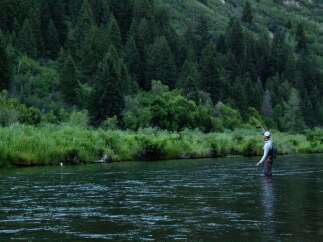 Enjoy the tranquility of nature with this stunning property, perfect for outdoor enthusiasts.