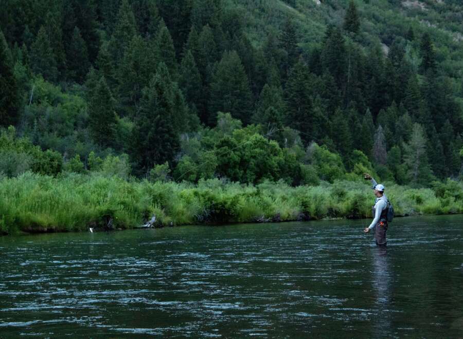 Enjoy the tranquility of nature with this stunning property, perfect for outdoor enthusiasts.